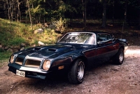 1976 Pontiac Firebird Formula 400400cid+TH400