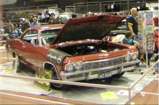 tommin_impala